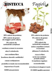 proteine-animali-vs-proteine-vegetali-L-_zL9XH