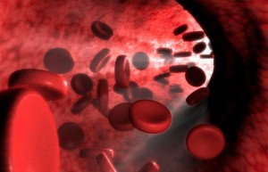 flusso sangue vene arterie emocromo significato codici sigle esito emorragia trombo flebite tromboflebite esami analisi del interpretazione informazione globuli bianchi globuli rossi piastri