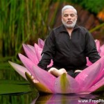 narendra-modi-meditates