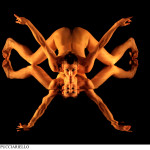 w-momix-forever_5