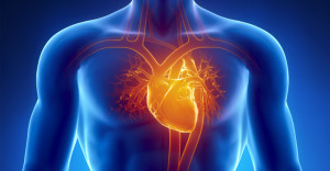 patologie-cardiovascolari