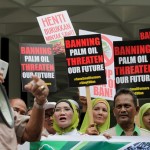 National Association of Smallholders (NASH) Malaysia Protest