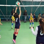 save-volley-3